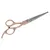 1 paire de ciseaux