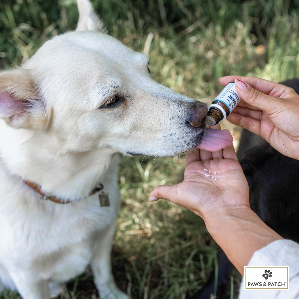 Fotografie produktu: PAWS & PATCH Stress Emergency- Flower Essence Blends - 10 g