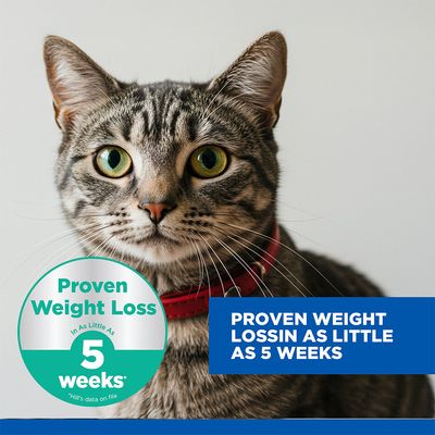 Hill's Science Plan Perfect Weight Adult 1+ Chicken