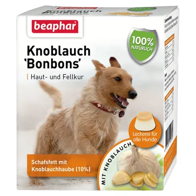 beaphar Knoblauch 'Bonbons', 100% natürlich, Schafsfett mit Knoblauchhaube (10%), Leckerei für alle Hunde. Imagen de un perro y ajo en el envase.