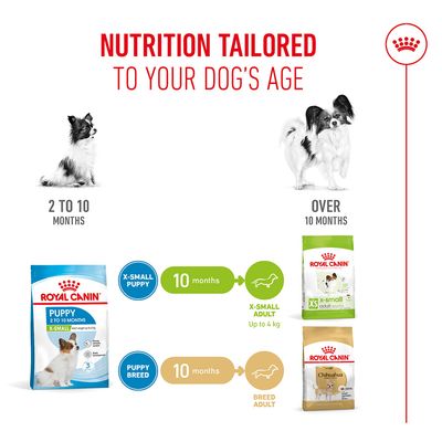 Royal Canin X-Small Puppy