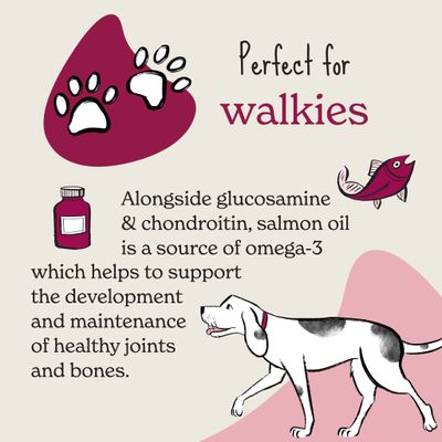 Text: Perfect for walkies. Alongside glucosamine and chondroitin, salmon oil is a source of omega-3 which helps support healthy joints and bones development and maintenance.