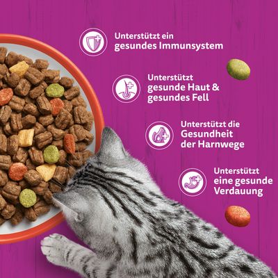 Whiskas 1+ Rind
