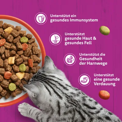 Whiskas Adult 1+ Katze Trockenfutter mit Rind - 14 kg