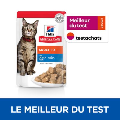 Hill's Science Plan Adult 1–6 with Ocean Fish, morceaux en sauce, sachet avec photo de chat et assiette de nourriture. Mention sans conservateurs ni colorants artificiels.