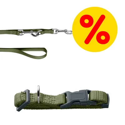 Grünes Hundehalsband mit passender Leine und gelbem Rabatt-Symbol mit rotem Prozentzeichen.