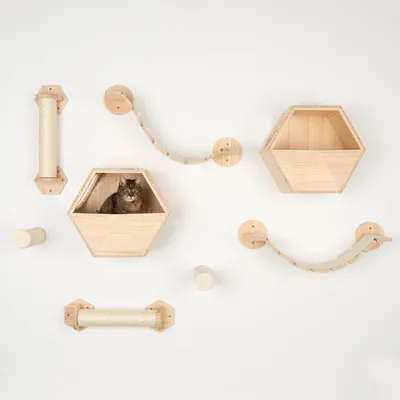 Sistem de cățărat și odihnă montat pe perete din lemn, cu frânghii, suprafețe de zgâriat și cutii hexagonale. O pisică stă într-una dintre cutii. Sistem de cățărat și odihnă montat pe perete din lemn, cu frânghii, suprafețe de zgâriat și cutii hexagonale. O pisică stă într-una dintre cutii.