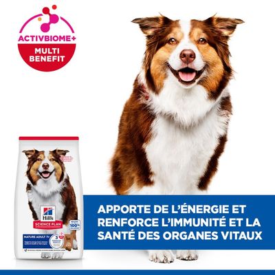 Hill's Science Plan Mature Adulte 7+ avec ActivBiome+ Multi Benefit. Apporte de l'énergie et renforce l'immunité ainsi que la santé des organes vitaux.