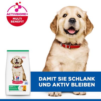 Hill's Science Plan Puppy <1 Large mit Huhn - 6 kg