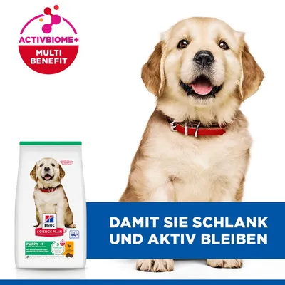 Hill's Science Plan Puppy <1 Large mit Huhn - 16 kg