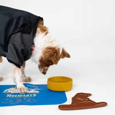 Chien portant un manteau noir devant une gamelle jaune, un tapis bleu avec texte 'Hogwarts' et un accessoire marron en forme de chapeau visibles au sol.