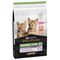 PURINA PRO PLAN Sterilised Kitten Healthy Start Lachs Sparpaket: 2 x 10 kg