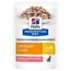 Hill´s Prescription Diet Feline C/D Multicare met Zalm Kattenvoer 12 x 85 g