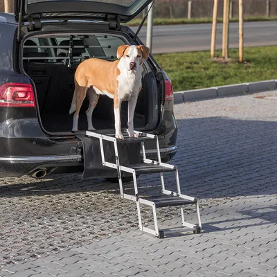 Opvouwbare hondentrap van metaal, bevestigd aan een auto-kofferbak. Een middelgrote hond staat op de bovenste trede.