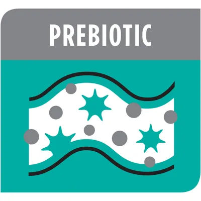Prebiotic feature highlighted with graphic illustration of beneficial elements and particles.