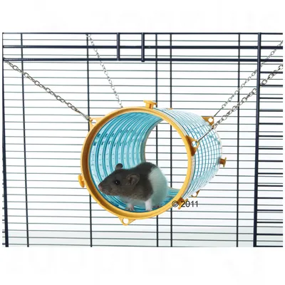 Tubo trasparente in plastica blu con bordi gialli, sospeso con catene in una gabbia per roditori, con un topo all'interno. Tubo trasparente in plastica blu con bordi gialli, sospeso con catene in una gabbia per roditori, con un topo all'interno.