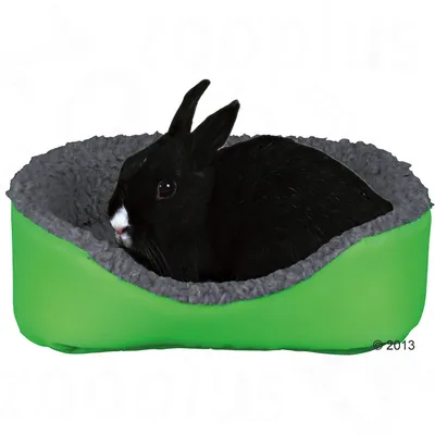 Iepure negru cu alb într-un culcuș verde cu interior gri din material textil, margini rotunjite. Fundal alb.