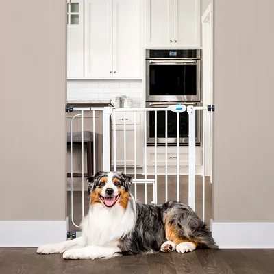 White safety barrier for doors, installed in a kitchen. Dog lying in front, indicating the barrier as a safety measure.