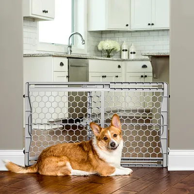 Hond ligt voor een grijze afscheiding met honingraatpatroon, geschikt voor het beveiligen van ruimtes. Keuken op de achtergrond.