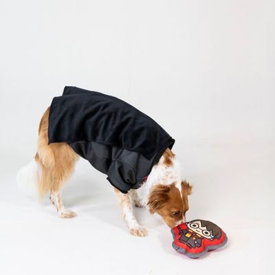 Dog wearing a black coat playing with a red toy shaped like a cartoon character.