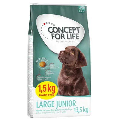 Concept for Life Large Junior 13,5 kg, 1,5 kg gratis. Per cuccioli e cani giovani fino a 15 mesi, peso adulto 26–44 kg. Testo in inglese: High premium dog food.