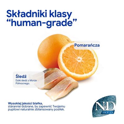 N&D Ocean. Składniki w jakości spożywczej: pomarańcza i śledź z Morza Północnego. Wysokiej jakości białko dla naturalnie zbilansowanego posiłku.