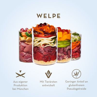 Terra Canis Welpenmenü 6 x 800 g - Rind mit Apfel, Karotte und Hagebutte