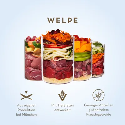 Terra Canis 6 x 800 g Menu pour chiot - bœuf, pomme, carotte, cynorrhodon