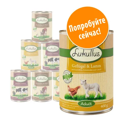Консервы Lukullus для взрослых собак, варианты: Geflügel & Lamm, Kaninchen & Wild, Rind & Truthahn; банка 400 г. Оранжевый круг с текстом: Попробуйте сейчас!