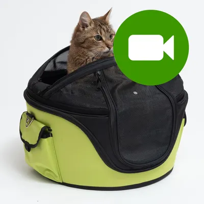 Przycisk odtwarzania filmu. Kliknij tutaj, aby obejrzeć wideo produktu: transporter dla kota z siatką i kieszenią boczną.
