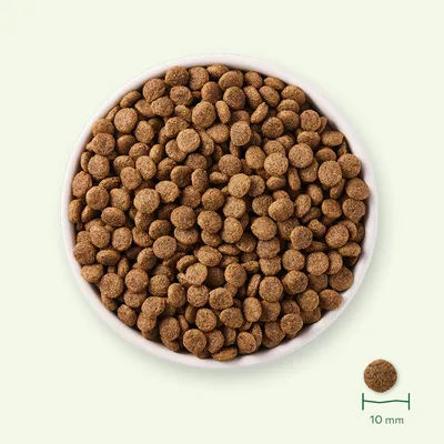 Skål med bruna torrfoderkroketter, diameter på en krokett: 10 mm.