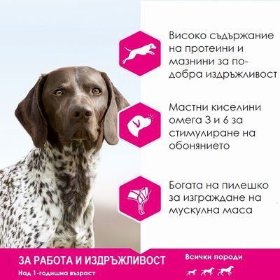 Eukanuba Daily Care Trockenfutter für Arbeit und Ausdauer, Adult ab 7 Jahren, alle Rassen, alle Gewichtsklassen. 15kg Packung mit 30% Protein und 20% Fett.