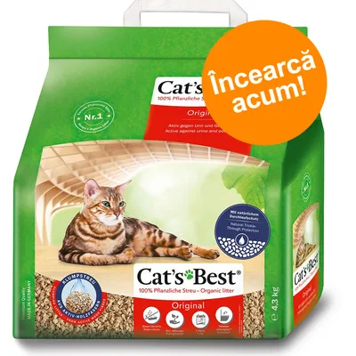 Ambalaj Cat's Best Original, 100% Pflanzliche Streu – Organic litter, 4,3 kg, cu imagine pisică și inscripția portocalie „Încearcă acum!” pe colțul dreapta sus.