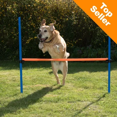 Pes preskakuje oranžovú agility prekážku s modrými tyčami. V pravom hornom rohu je text: Top Seller.