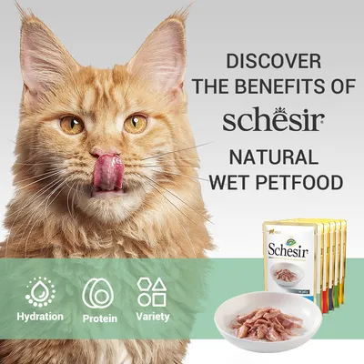 Tekst na engleskom: Discover the benefits of Schesir natural wet petfood. Prikaz pakiranja Schesir mokre hrane za kućne ljubimce i zdjelice s hranom. Ikone: Hydration, Protein, Variety.