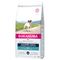 Eukanuba Adult Breed Specific Jack Russell Terrier 2 кг