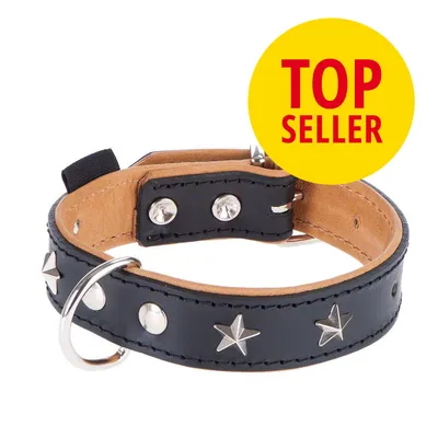 Schwarzes Lederhalsband mit silbernen Sternnieten und Metallring. Gelbes Badge mit rotem Text 'Top Seller'.