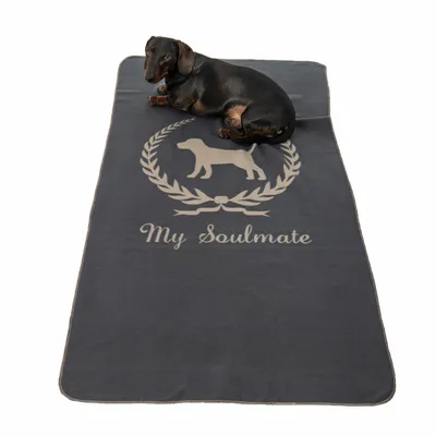 Hund liegt auf grauer Decke mit hellem Hundemotiv, Lorbeerkranz und dem Schriftzug 'My Soulmate'.