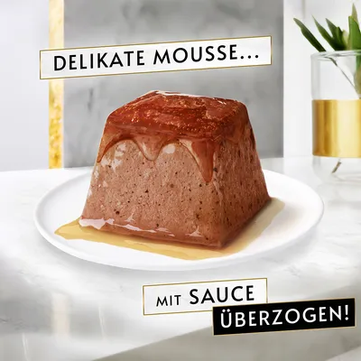 Delikate Mousse mit Sauce überzogen, präsentiert auf einem weissen Teller.