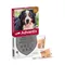 Advantix® 600 Spot-on für Hunde, von 40 bis 60 kg Sparpaket: 2 x 4 Pipetten x 6,0 ml