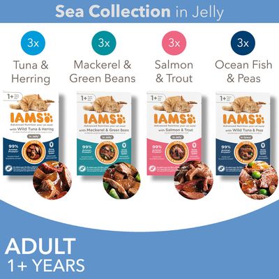 IAMS Sea Collection in Jelly за котки 1+ години: 3x риба тон и херинга, 3x скумрия и зелен фасул, 3x сьомга и пъстърва, 3x океанска риба и грах. Видими парчета месо.