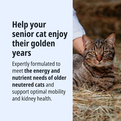 Formulato per gatti anziani sterilizzati: fabbisogno di energia e nutrienti, supporta la mobilità e la salute renale.