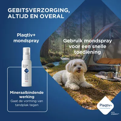 Plaqitv+ Mondspray, mineraalbindende werking tegen tandplak. Toepassing overal mogelijk, snelle toediening met mondspray. Plaqitv+ Mondspray, mineraalbindende werking tegen tandplak. Toepassing overal mogelijk, snelle toediening met mondspray.