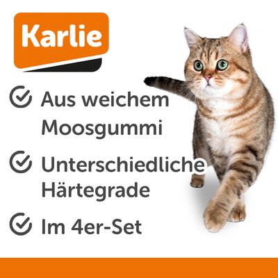 Vier Spielbälle in verschiedenen Designs: Basketball, Fussball, Baseball und orangefarbener Golfball.