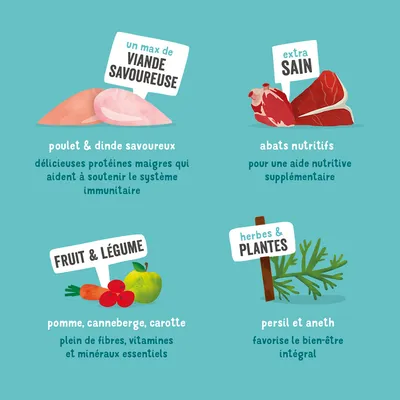 un max de viande savoureuse, extra sain, fruit & légume, herbes & plantes. Poulet & dinde savoureux, abats nutritifs, pomme canneberge carotte, persil et aneth. Textes en français.
