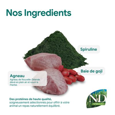 Ingrédients : viande d’agneau de Nouvelle-Zélande, spiruline, baies de goji. Protéines de haute qualité pour un repas équilibré. Marque : N&D Spirulina.