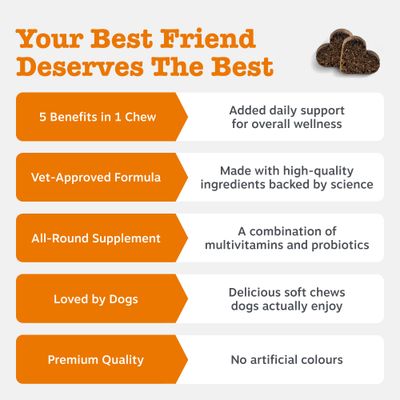 5 voordelen in één snack, door dierenartsen aanbevolen formule, multivitaminen en probiotica, geliefd bij honden, premium kwaliteit zonder kunstmatige kleurstoffen.