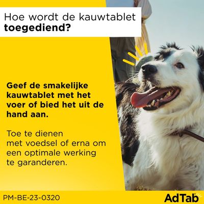 Hoe wordt de kauwtablet toegediend? Geef de smakelijke kauwtablet met het voer of bied het uit de hand aan. Toe te dienen met voedsel of erna om optimale werking te garanderen. AdTab.