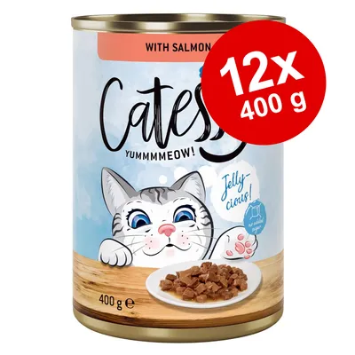 Catessy Yummmmeow! with salmon kissanruoka, 12 x 400 g. Etiketissä piirroskissahahmo ja lautasella hyytelömäistä ruokaa. Teksti: Jelly-cious!, no added sugar.