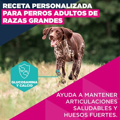 Eukanuba Premium Nutrition Adult Large & Giant Breed salmón